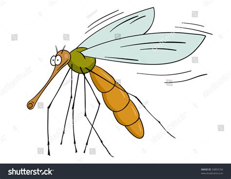 Drawing Gnat Isolated On The White Stock Vector Illustration 53853184