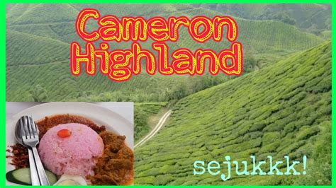 There are a few of these farms as you go up the highlands starting from tanah rata to kea farm. TRIP TO CAMERON HIGHLAND | LADANG TEH | ABANG STRAWBERRY ...