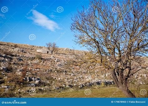 Beautiful View Of The Wild Countryside Of Puglia Stock Image Image Of