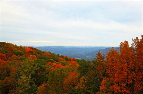 5 Great Ways To See Peak Foliage In The Smoky Mountains Smoky
