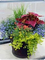 Flower Container Ideas