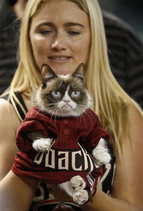 Grumpy Cat Awarded 710000 In Copyright Infringement Suit The Two Way Npr