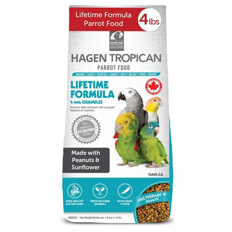 buy hari hagen tropican lifetime formula parrot food 4 lb parrot food with peanuts and sunflower