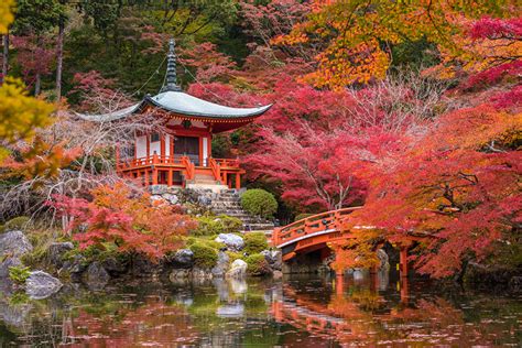 Fondos De Pantalla Japón Kioto Jardíns Otoño Pagodas Estanque Puentes