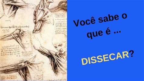 Núcleo De Estudos Estigmas E Representações Do Corpo Na Literatura