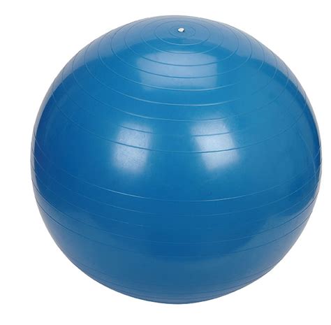 55cm Exercise Ball Abdominal Ball Therapy Ball Pilates Ball Pool Ball