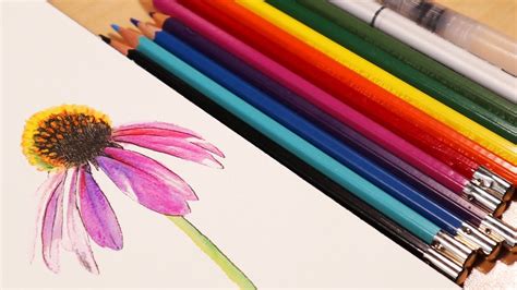How To Use Watercolor Pencils Flower Painting Tutorial Watercolor