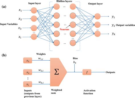 Topology Of Backpropagation Neural Network Model A A Schematic Of A