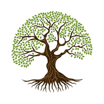 Tree Roots Logo Vector Hd Images Illustration Of Circular Tree Root