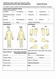 Assessment Chart For Wound Management Patient Id Lab