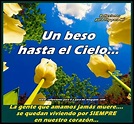 Hasta el cielo | Condolence messages, Get well soon messages, Missing ...