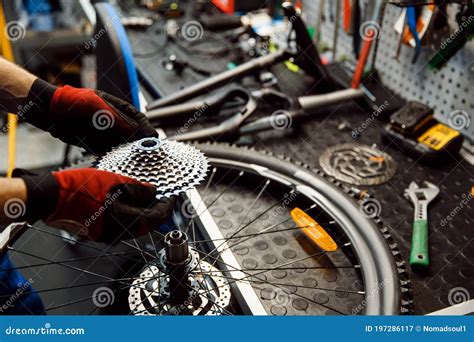 15037 Bicycle Repair Photos Free And Royalty Free Stock Photos From