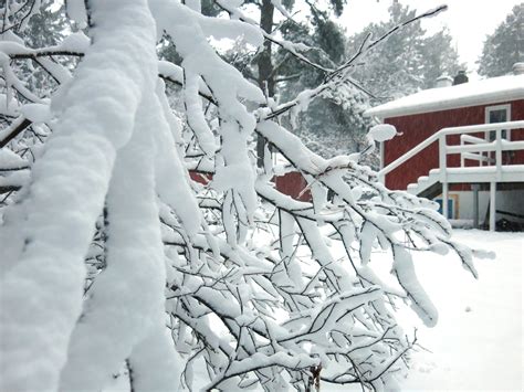 Photos Minnesotans Greet The First Winter Storm Of The Season