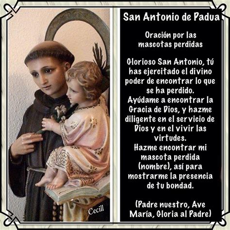® Oraciones Y Devociones Blog Católico ® San Antonio De Padua Vida