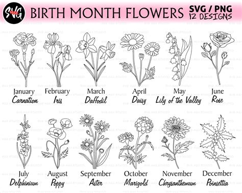 Birth Flower Svg Birth Month Flower Outline Birth Flowers Birth Flower