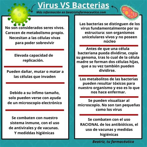 Principales Diferencias Entre Los Virus Y Las Bacterias Beatriz Tu