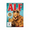 Film: Alf - Staffel 3 von Lisa A. Bannick, Steve Pepoon, Tom Patchett ...