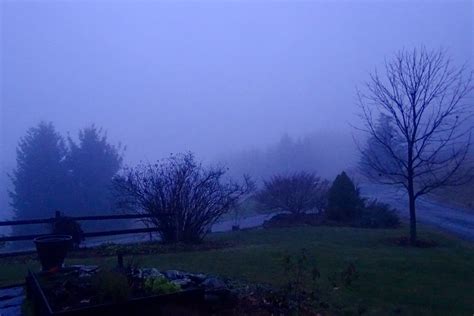 Foggy Morning On The Farm The Solitude Inn Catskills Vacation
