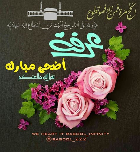 هناك العديد من الأدعية المأثورة التي يُحسن الدعاء بها يوم عرفة، بالإضافة إلى العديد من الأدعية التي وردت عن التابعين والصالحين في يوم عرفة، ومنها ما يأتي:٥. صور عن يوم عرفة - ليدي بيرد
