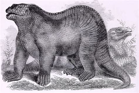 Dinosaur Illustration Dinosaur History Prehistoric Animals
