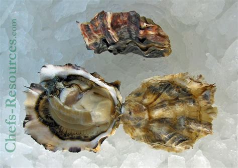 eld inlet oyster chefs resources