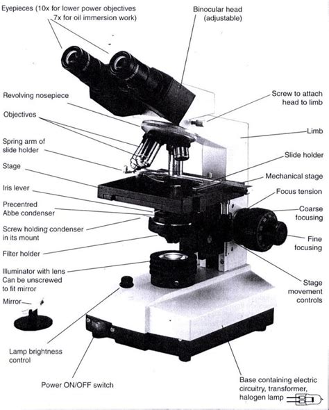 Diagrams Of Microscope 101 Diagrams