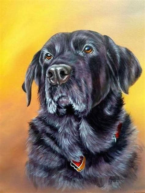How To Paint A Dog In Acrylics By Mariondutton Dog Portraits Art Dog
