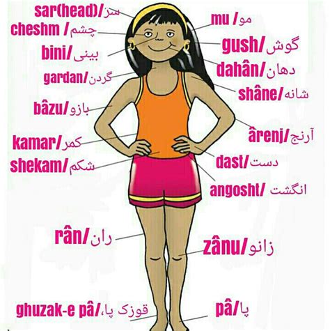 See more ideas about tamil language, learning, language. Body farsi | Persian language, Learn persian, Learn farsi