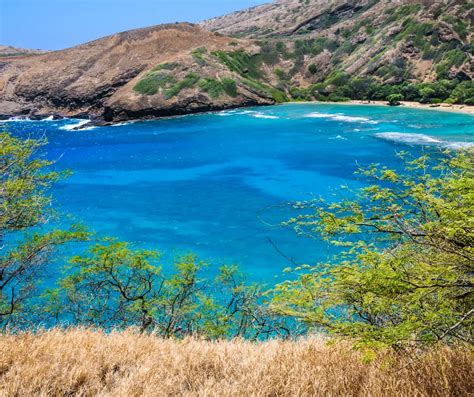 Hanauma Bay Snorkeling A Complete Visitor Guide Planning Away