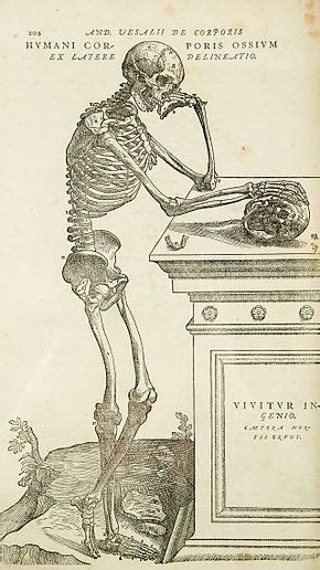 Anatomy Wikipedia