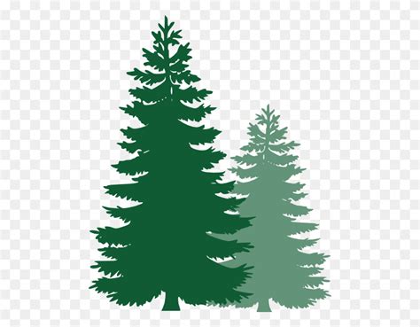 Pine Tree Silhouette Clip Art Branch Clipart Png Stunning Free