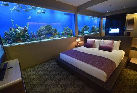 The Most Amazing Aquarium Bedrooms That Will Astonish You Top Dreamer