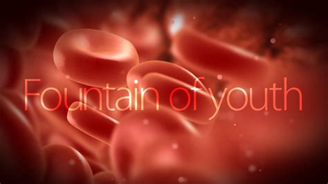 Scientists Clear Path To The Fountain Of Eternal Youth