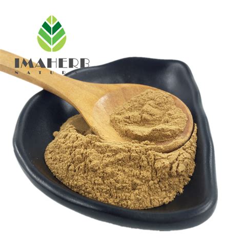 High Quality Chinese Sumac Bran 101 201 501 Organic Extract Powder