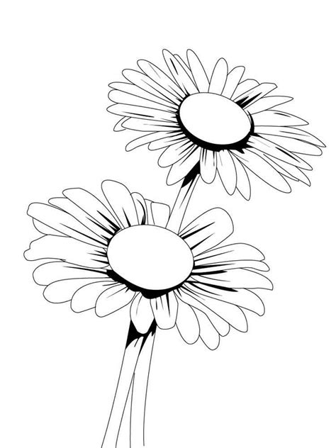 If daisies make you happy, print our daisy. Daisy Flower coloring pages. Download and print Daisy Flower coloring pages