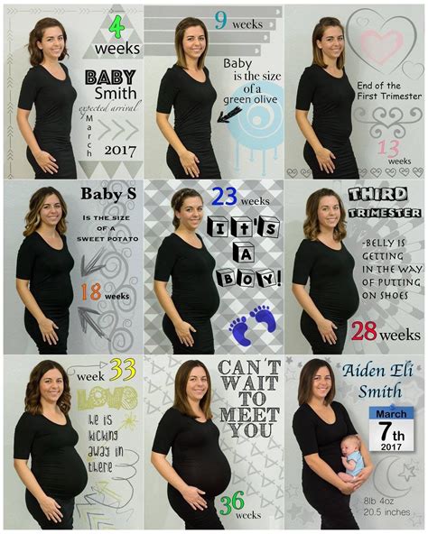 Pregnancy Progress Month By Month Pregnancy 40 Weeks Pregnant