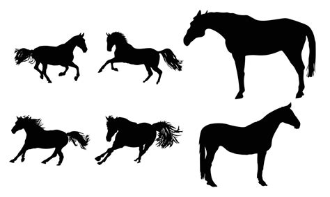Collection Of Horses Silhouettes Set On White Background 7060012 Vector