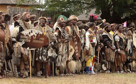 south africa zulu reed dance ceremony zulu reed dance ce… flickr