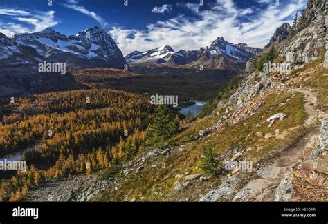 Alpine Circuit Hiking Trail Above Lake Ohara In Yoho National Park