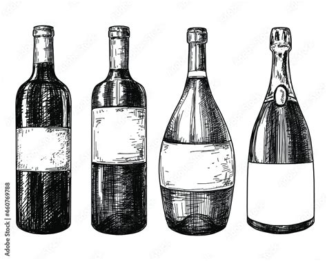 Wine Bottles Sketch Ink Graphic Set Illustration Draft Silhouette