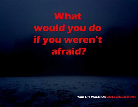 In this transformational talk, traci fenton, founder and ceo of worldblu, invites us to take a deeper look at how fear is at the root of many of the. What would you do if you weren't afraid? | Life quotes, Great quotes about life, Life words