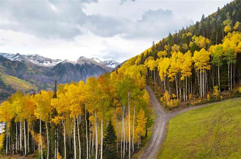 How To Plan The Perfect Trip To See Fall Foliage
