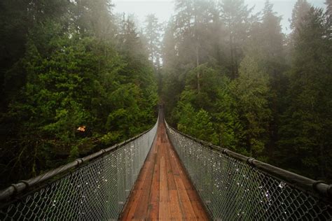 Capilano Suspension Bridge Christmas Best Time To Visit What To