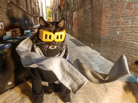 👻 Cat Cosplay 👻 On Twitter No Good Hero Is A One Trick Pony