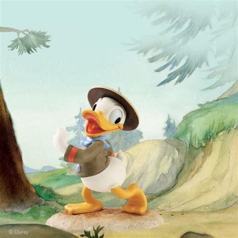 Amazon Donald Duck Donald Duck Happy Camper Walt Disney