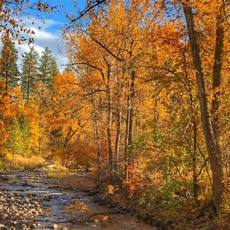10 Of The Best Places To Hike This Fall In Missoula Montana Dayspa