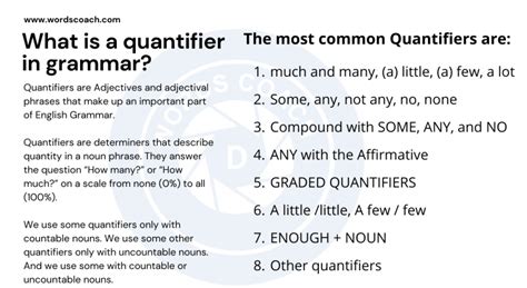 Quantifiers Word Coach