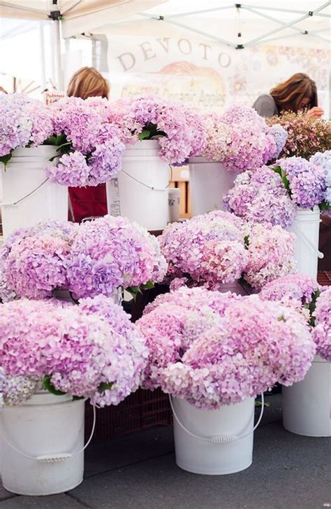 Pretty Pink Hydrangeas At The Farmers Market Flower Shop Weekends At