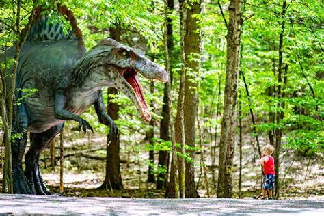 Lake George Expedition Park Explore Dino Roar Valley And Magic Forest
