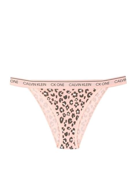 calvin klein leopard print logo waistband thong in pink lyst